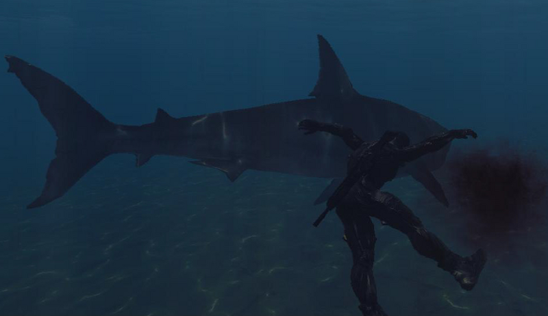 Файл:SharkAttack3.PNG